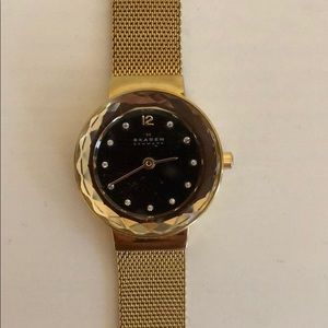 Women’s Skagen Gold Mesh Watch